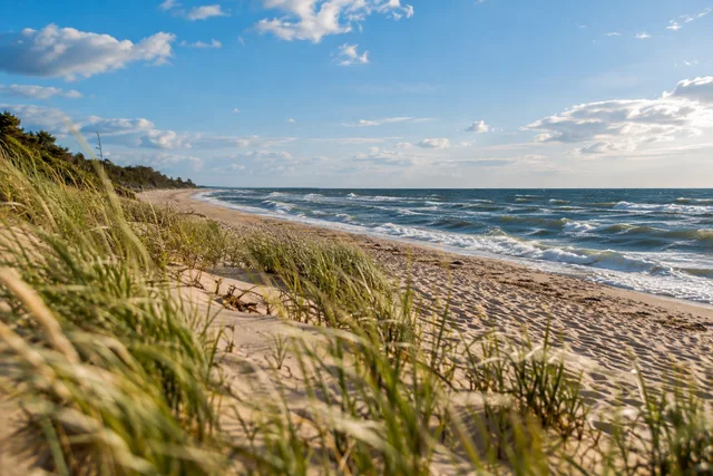Ilustracja AI: Plaża Sarbinowo