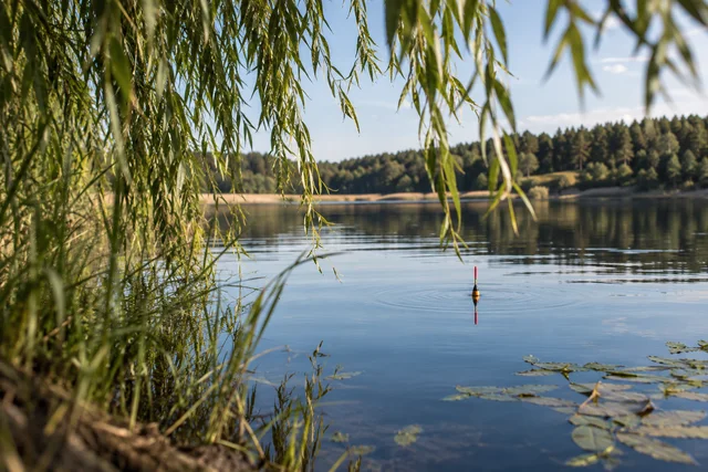 Ilustracja AI: Wędkarstwo nad Bukowem